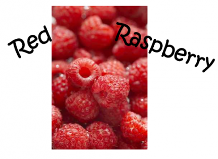 Red Raspberry 